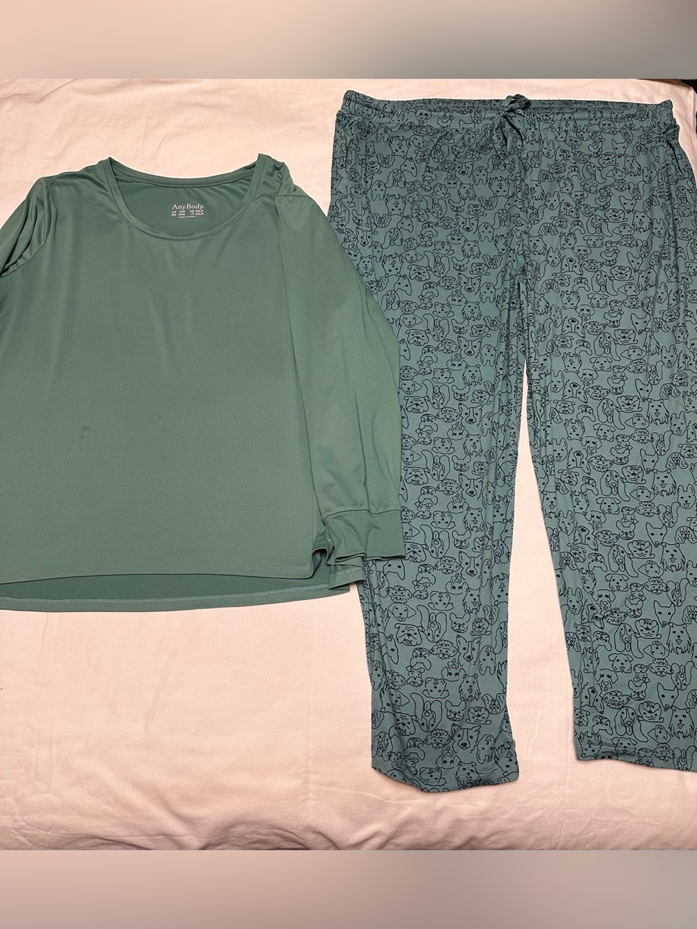 AnyBody Women’s' Sage Green Pajama Set with Cute Dog Print Pants 2XP